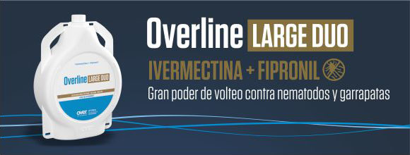 overline-580x220