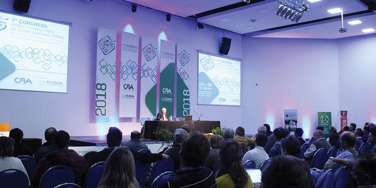 Entes-auditorio