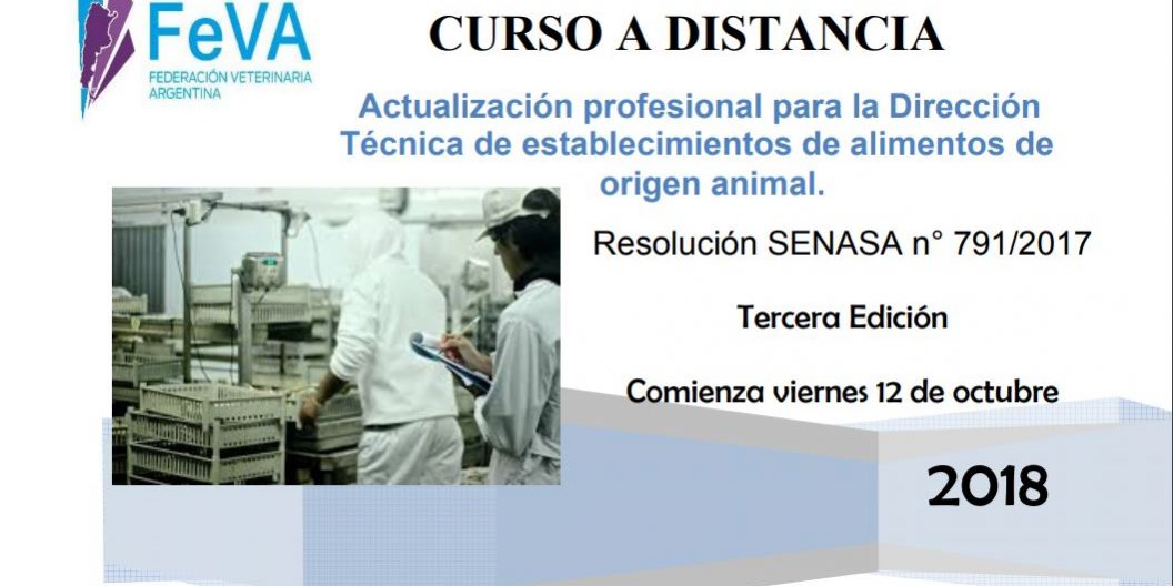 curso octubre1