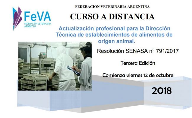 curso octubre1