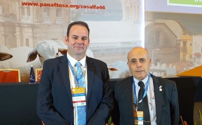 FINAL – COSALFA1