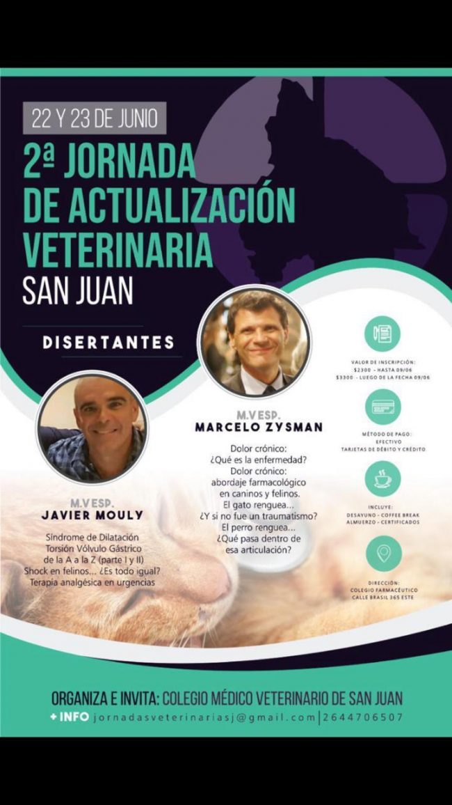 San Juan – Junio 1