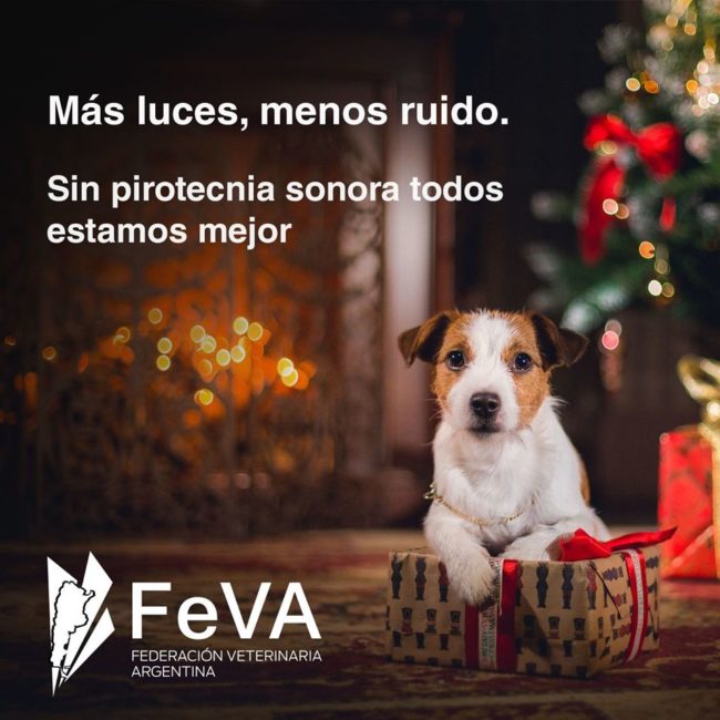FEVA-mas luces menos pirotecnia