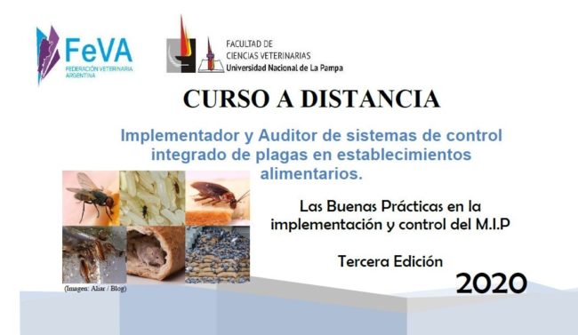 FeVA – Cursos a distancia
