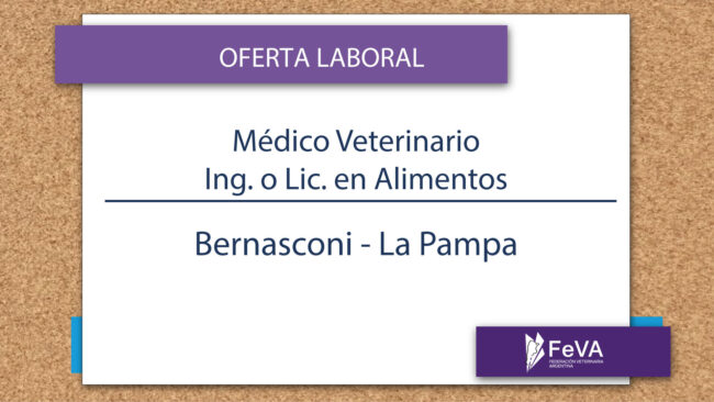 busqueda-laboral-Feva-mayo-n2