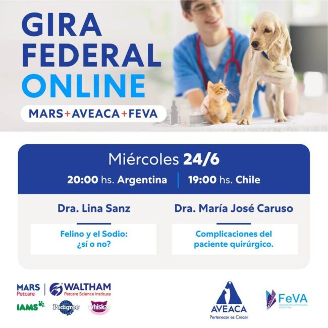 gira federal online 3