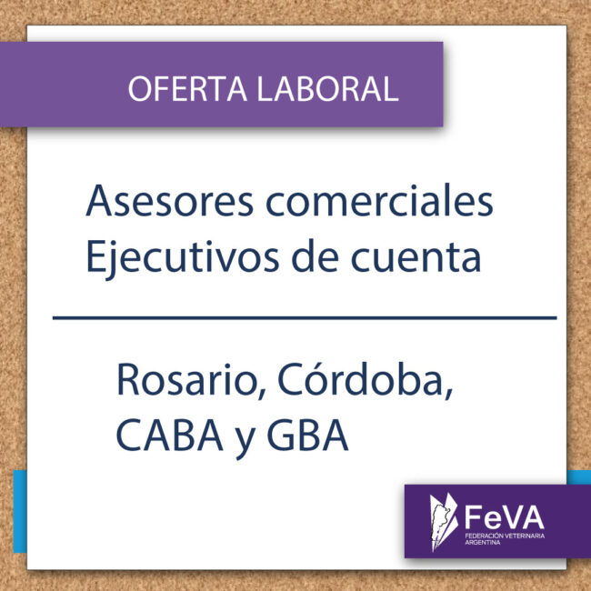 busqueda-laboral-Feva-julio-2-redes