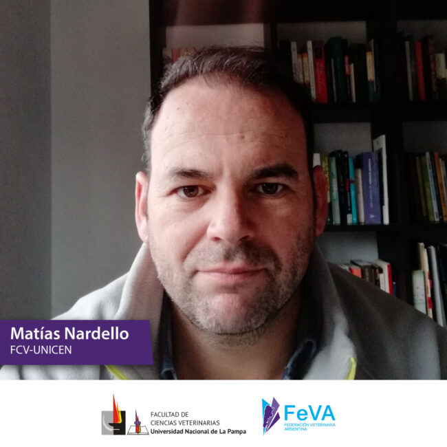 Ciclo-de-conferencias-Nardello