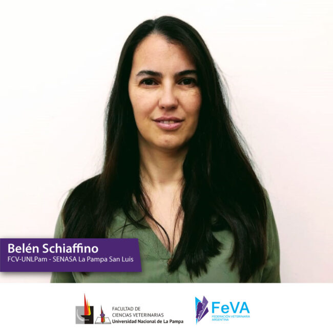 Ciclo-de-conferencias-Schiaffino4