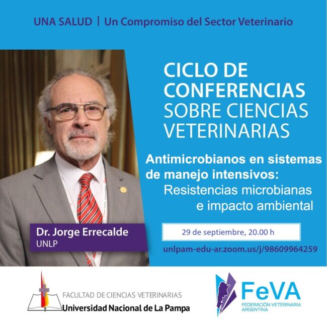 WhatsApp Image 2020-09-28 at 15.40.40