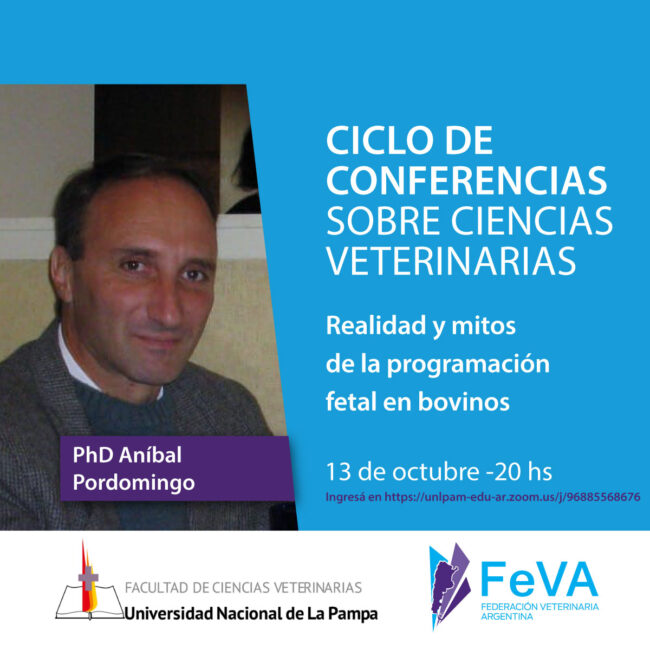 invitacion-pordomingo-redes