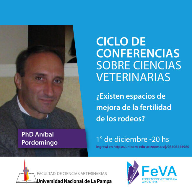 Ciclo-de-conferencias-FEVA-Pordomingo-diciembre-1×1