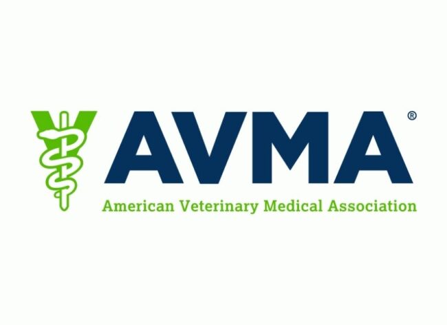 avma destacado