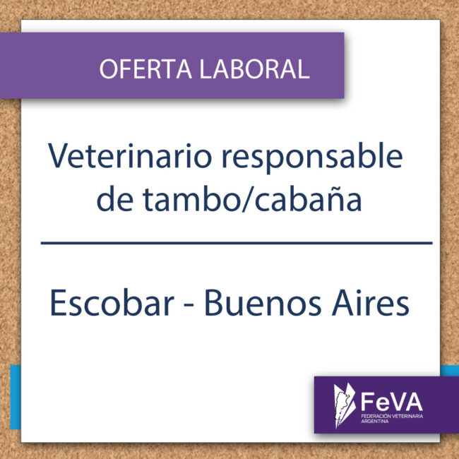 oferta laboral ferbrero 1×1