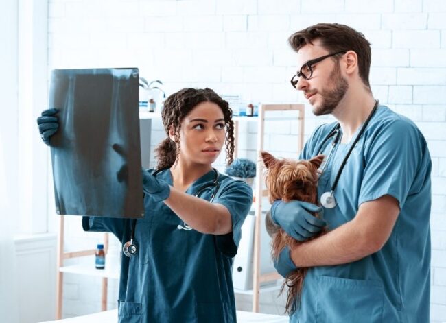 Radiología – destacado