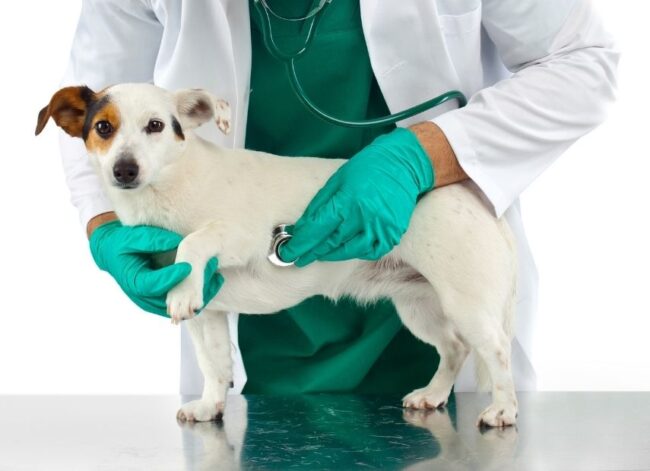 cardiorespiratoria – destacado