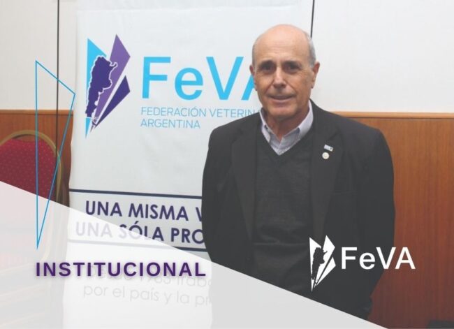 FeVA Hector Otermin 855X620