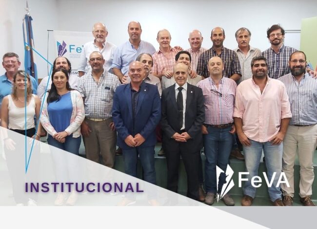 FeVA ultimo plenario 855X620