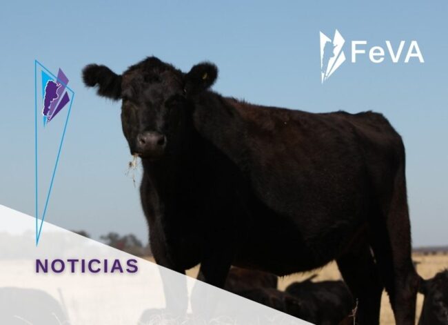 FeVA carbunclo la pampa 855X620