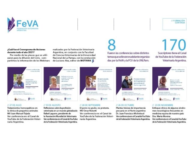 FeVA ciclo webinars 855X620