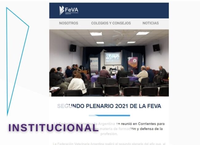 FeVA mailing 2 855X620