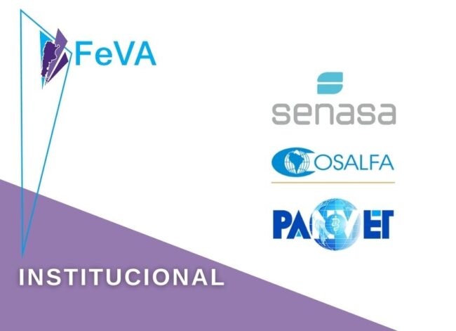 FeVA participacion 855X620