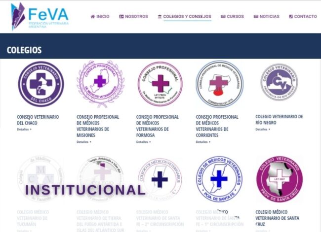 FeVA web colegios 855X620