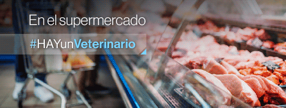 580x220_supermercado_carne