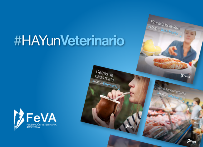 FEVA_WebNota_855x620