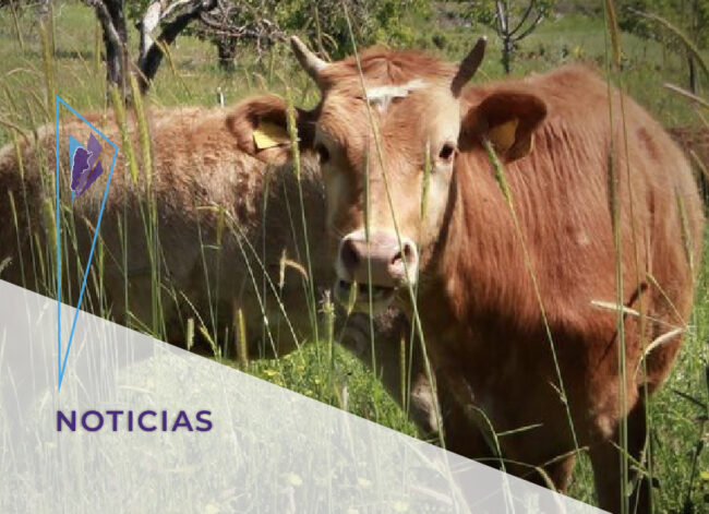 noticias sep 2_destacada
