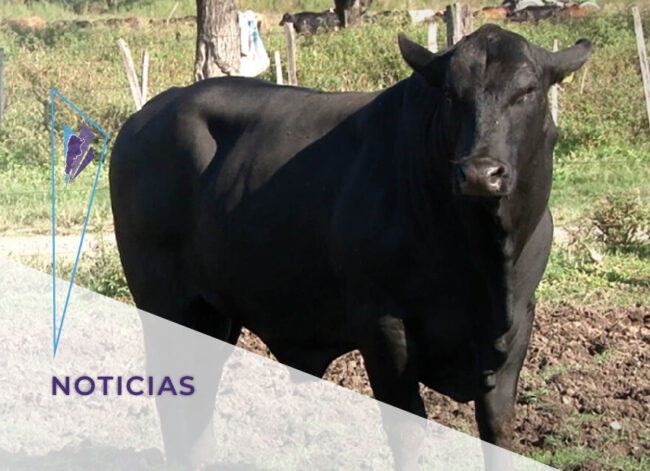 FeVA – Noticias – Claves para controlar_destacada
