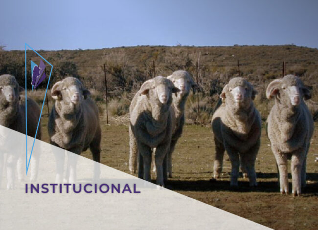 FeVA – Institucional – Capacitación en reproducción_destacada