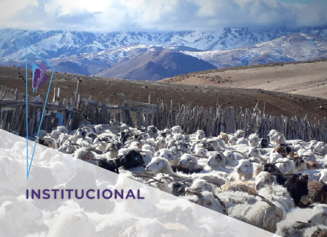 FeVA – Institucional – Neuquén Calendario sanitario_destacada