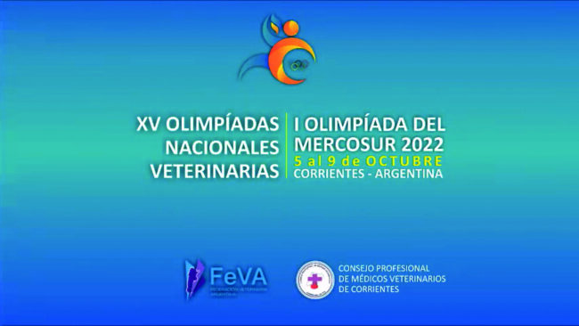 Olimpiadas nacionales y mercosur