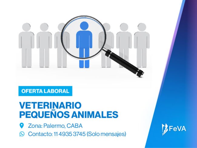 FEVA_Oferta Laboral_Palermo, CABA_miniatura (1)