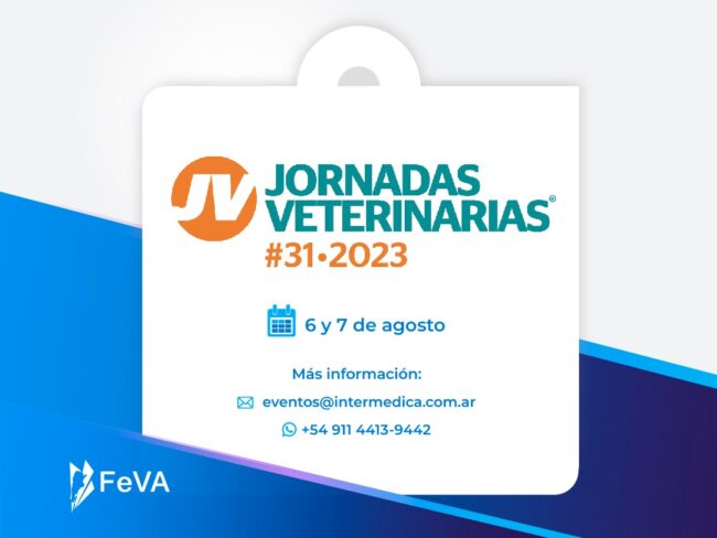 FeVA – Intermedica – miniatura