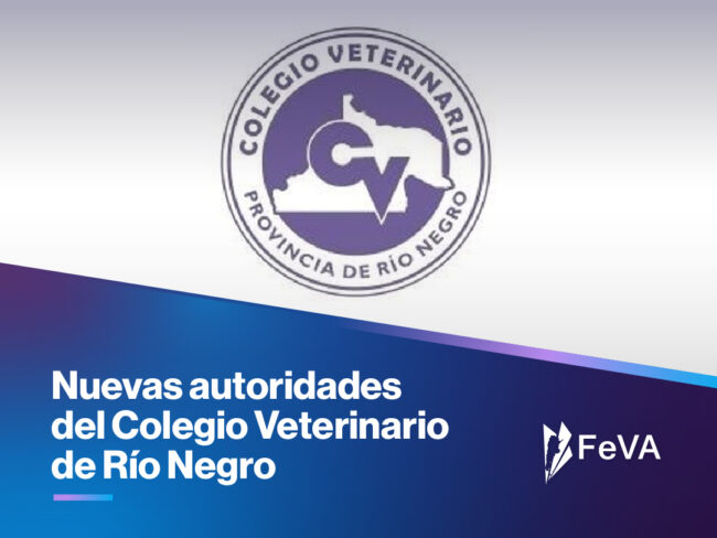 NSTITUCIONAL _ NUEVAS AUTORIDADES COLEGIO RÍO NEGRO_miniatura