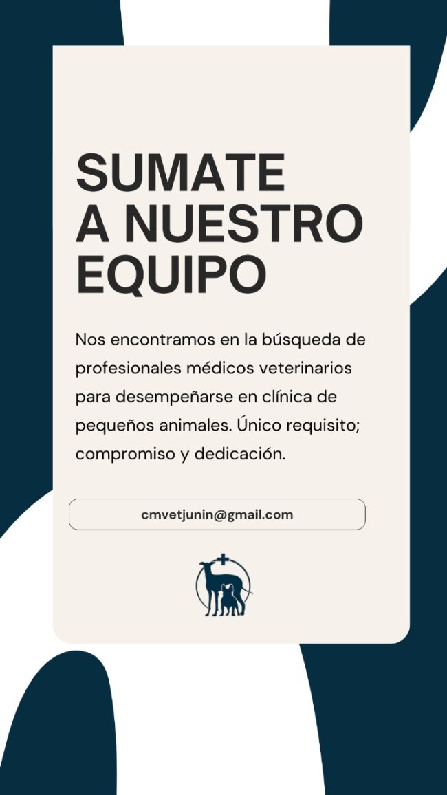 busqueda