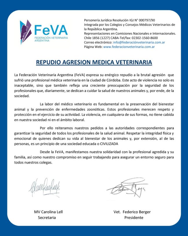 WhatsApp Image 2025-11-11 at 14.48.38