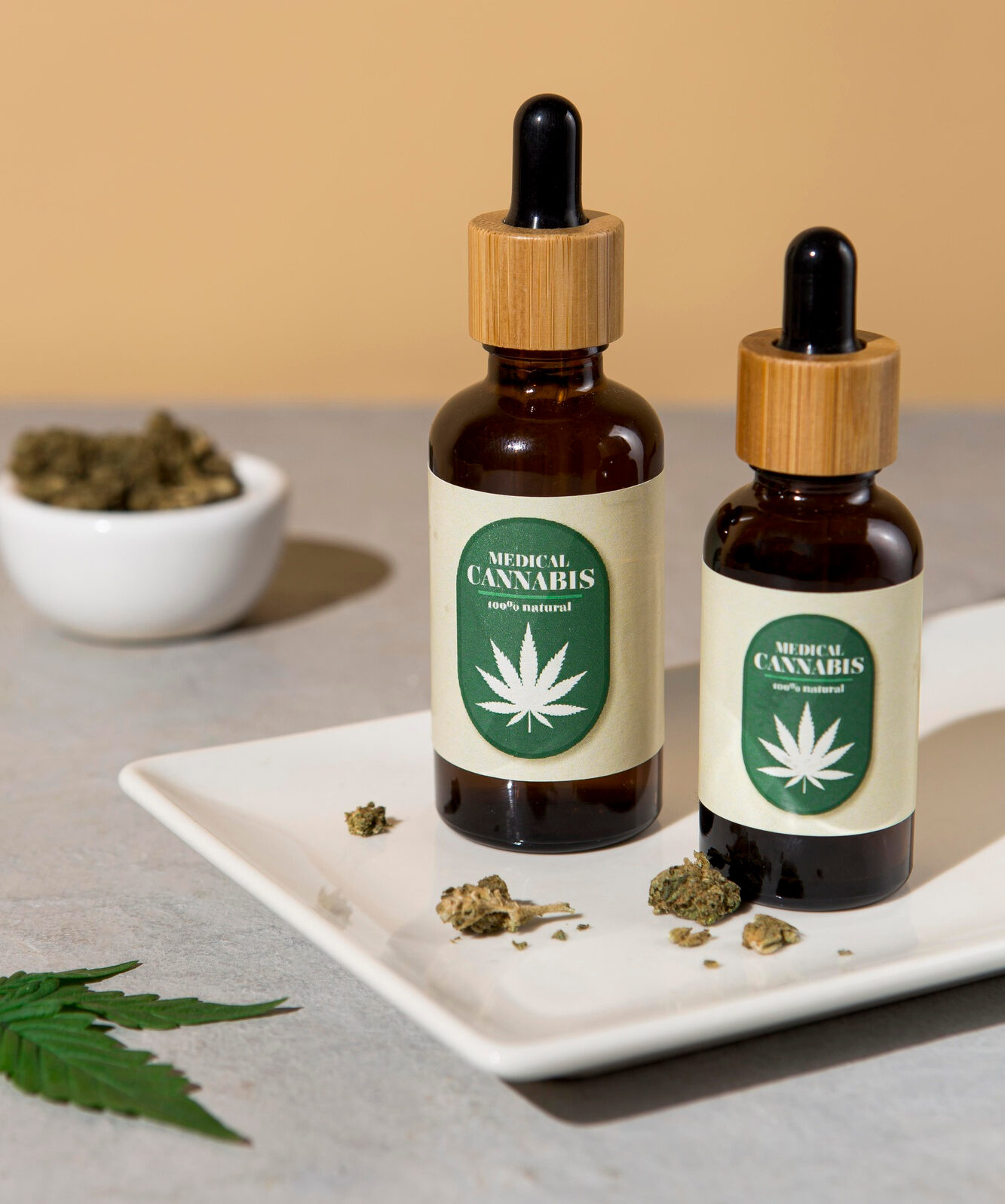 INTRODUCTORIO AL USO DE CANNABIS EN MEDICINA VETERINARIA