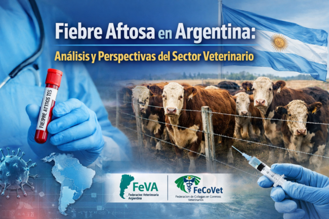 18 mar 2026, 08_52_14